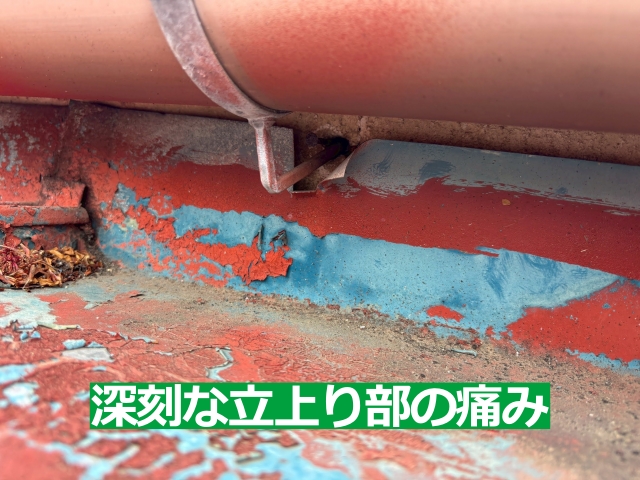 立上り部分では塗膜が剥がれ、下地が露出している箇所も見られました
